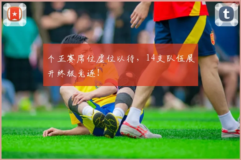 个正赛席位虚位以待,14支队伍展开终极竞逐!