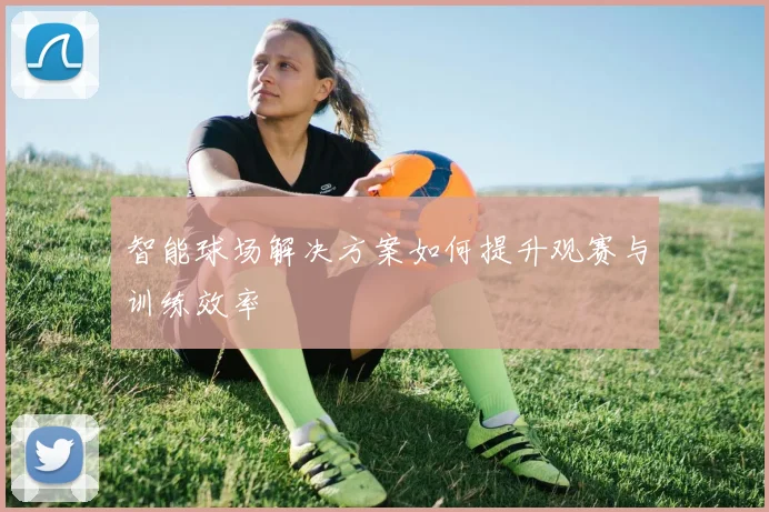智能球场解决方案如何提升观赛与训练效率