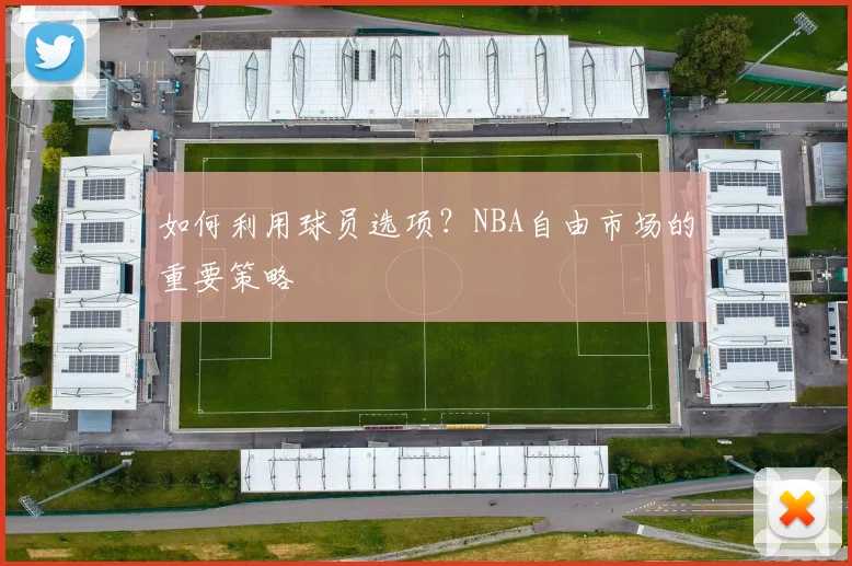 如何利用球员选项？NBA自由市场的重要策略