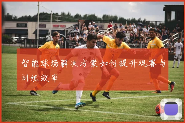 智能球场解决方案如何提升观赛与训练效率